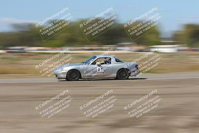 media/Oct-04-2025-OnGrid (Sat) [[44bd565ffa]]/Pink Group/Grapevine/